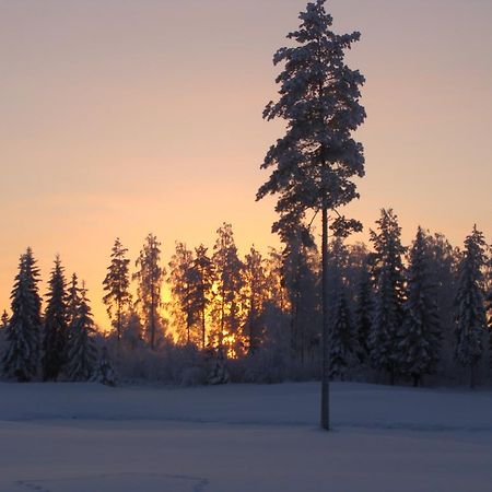 Villa Tiirinkallio นิลเซีย ห้อง รูปภาพ
