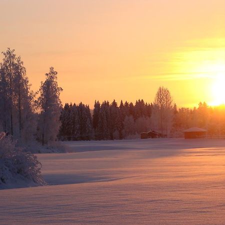 Villa Tiirinkallio นิลเซีย ภายนอก รูปภาพ