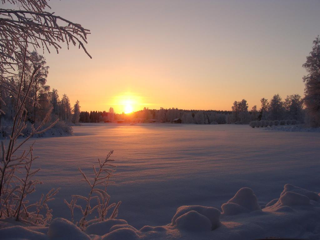Villa Tiirinkallio นิลเซีย ห้อง รูปภาพ