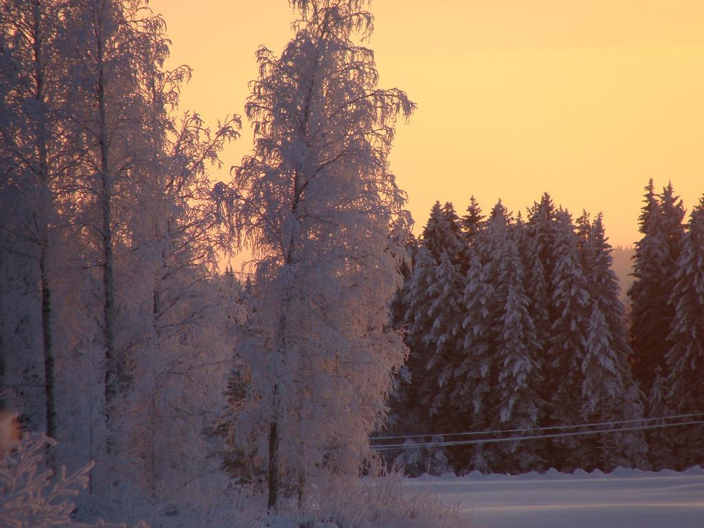 Villa Tiirinkallio นิลเซีย ห้อง รูปภาพ