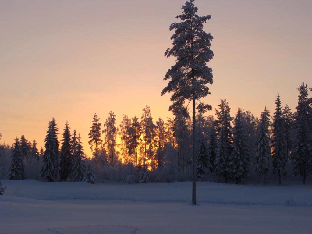 Villa Tiirinkallio นิลเซีย ห้อง รูปภาพ