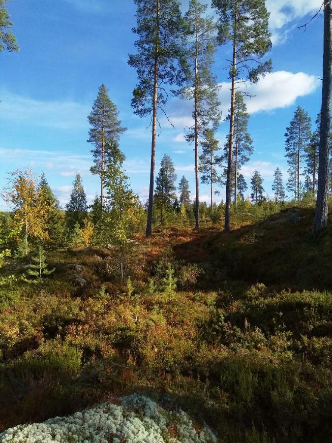 Villa Tiirinkallio นิลเซีย ภายนอก รูปภาพ