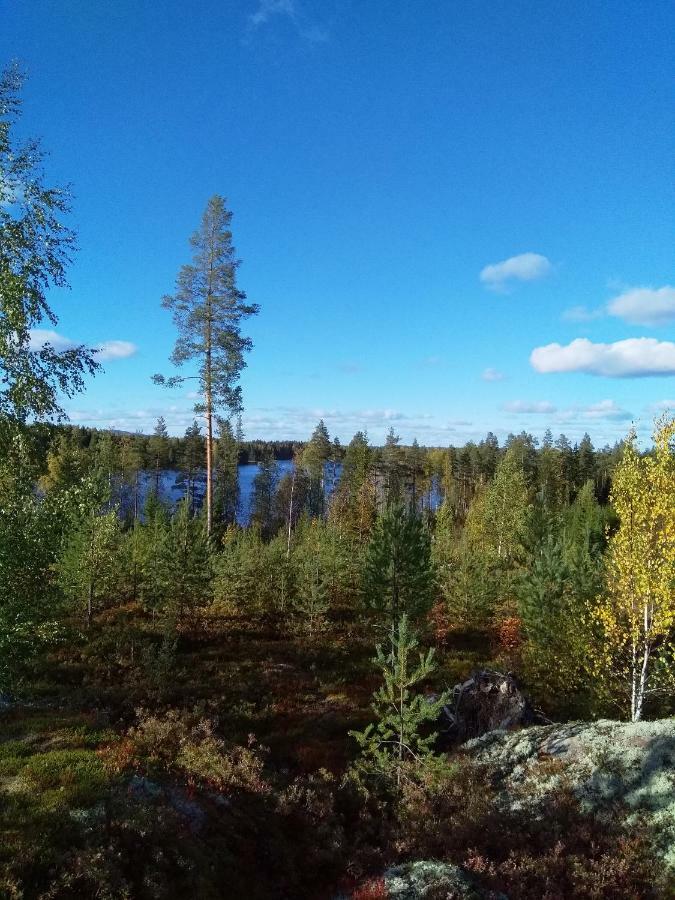 Villa Tiirinkallio นิลเซีย ภายนอก รูปภาพ
