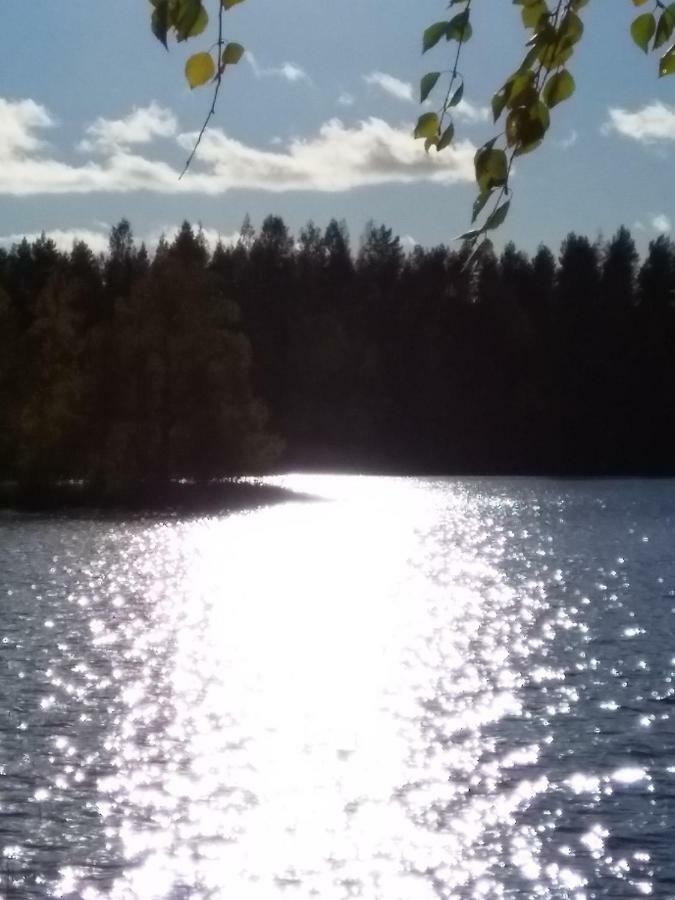 Villa Tiirinkallio นิลเซีย ภายนอก รูปภาพ