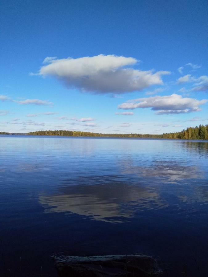 Villa Tiirinkallio นิลเซีย ภายนอก รูปภาพ