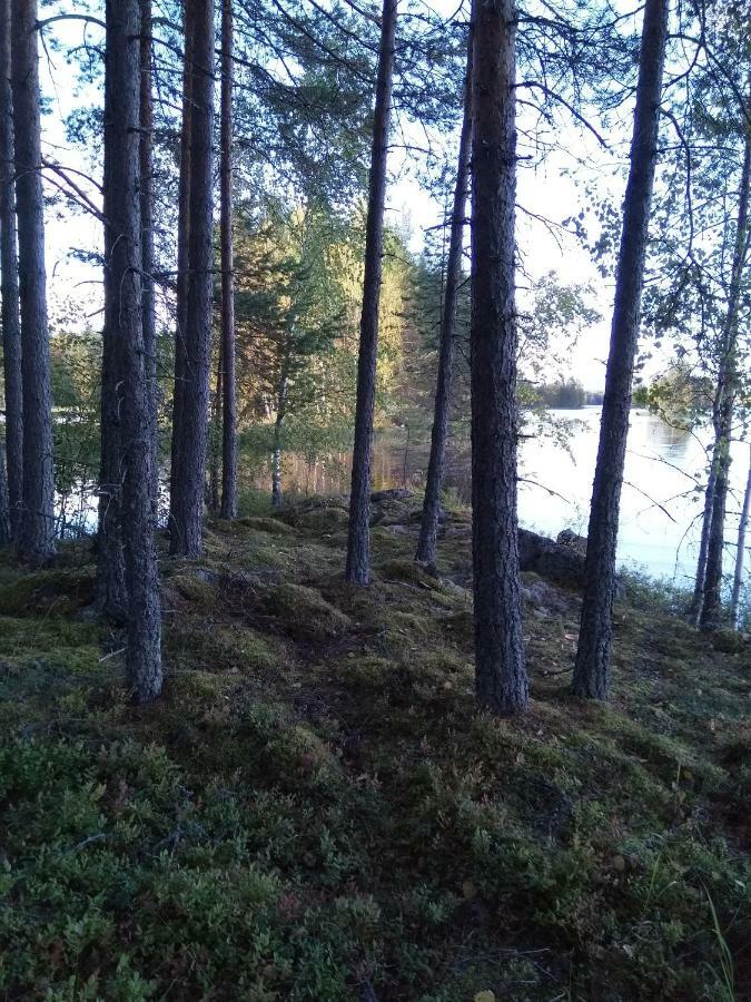 Villa Tiirinkallio นิลเซีย ภายนอก รูปภาพ