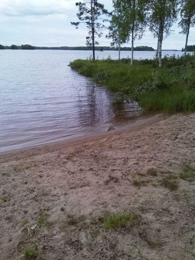 Villa Tiirinkallio นิลเซีย ภายนอก รูปภาพ